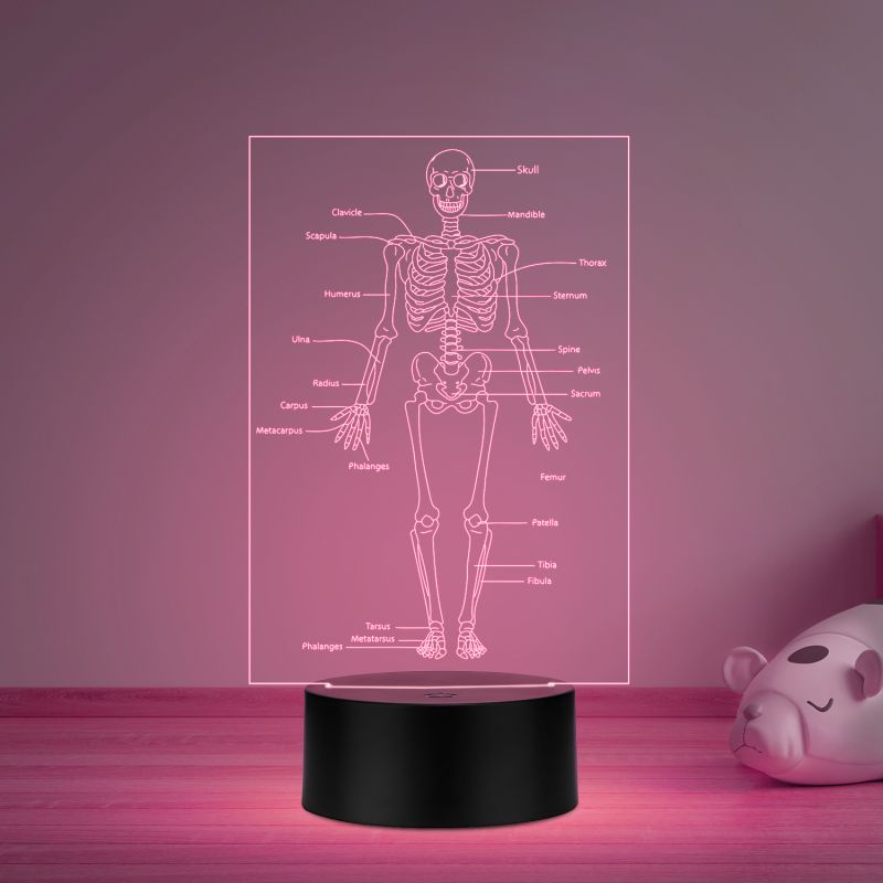 Skeleton of Human Body with Names 7 Color Changing Light with Remote Control